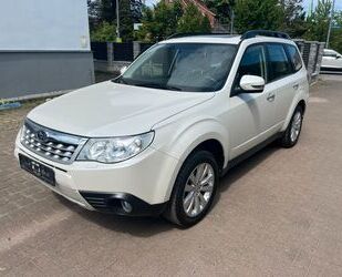 Subaru Subaru Forester Exclusive TÜV NEU! AHK! KAMERA! LE Gebrauchtwagen