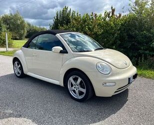 VW Volkswagen Beetle 1,9 TDI Gebrauchtwagen