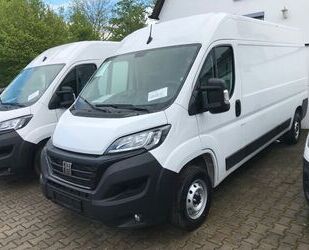 Fiat Fiat Ducato Grossr.-Kasten 35 140 L4H2-Boden/SV Gebrauchtwagen