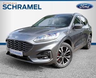 Ford Ford Kuga 2.5 Duratec ST-Line X FHEV ACC HUD B&O L Gebrauchtwagen