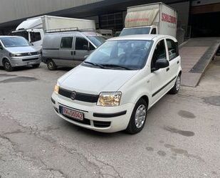 Fiat Fiat Panda 1.2 8V Klima ZV Gebrauchtwagen