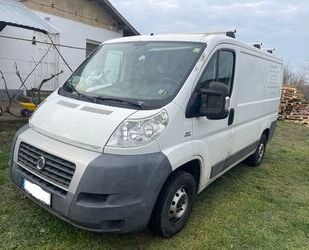 Fiat Fiat Ducato 250L Gebrauchtwagen