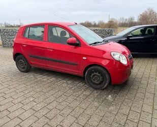 Kia Picanto Gebrauchtwagen