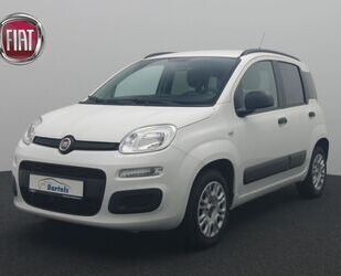 Fiat Fiat Panda 1.2 Easy KLIMA UCONNECT Gebrauchtwagen