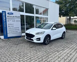 Ford Ford Kuga ST-Line X Gebrauchtwagen