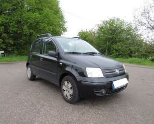 Fiat Fiat Panda 1.2 *Klima*2.Hand*kein Tüv Gebrauchtwagen