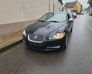 Jaguar Jaguar XF 2.7 V6 Diesel Premium Luxury Gebrauchtwagen