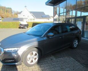 Skoda Skoda Octavia Combi Ambition, Climatronic, ALU, Sm Gebrauchtwagen