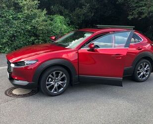 Mazda Mazda CX-30 e-SKYACTIV-X M-Hybrid Exclusive-Line E Gebrauchtwagen