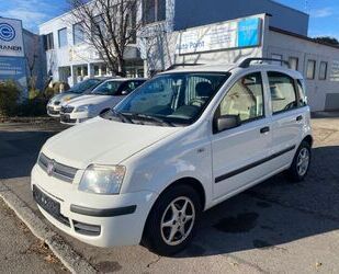 Fiat Fiat Panda 1.2 8V Dynamic Gebrauchtwagen