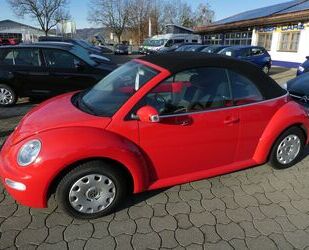 VW Volkswagen New Beetle Cabriolet 1.4 ORIG.NUR 3´km Gebrauchtwagen