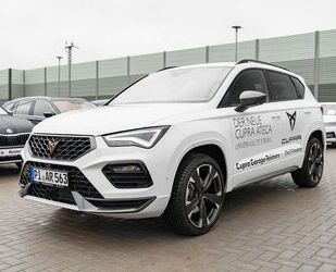 Cupra Cupra Ateca 1.5 TSI e ACC Navi360 ParkAss. SpurH Gebrauchtwagen