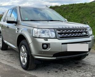 Land Rover Land Rover Freelander 2 SE TD4/TÜV 2.26/8 Fach/All Gebrauchtwagen