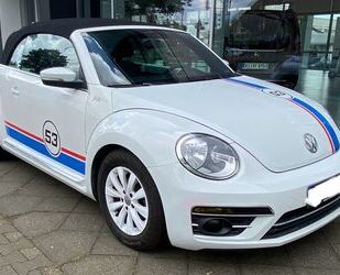 VW Volkswagen Beetle 