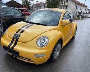 VW New Beetle Gebrauchtwagen