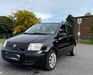 Fiat Fiat Panda Gebrauchtwagen