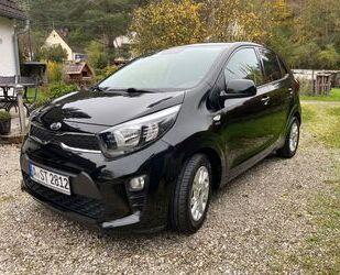 Kia Kia Picanto 1.2 Dream-Team Edition Dream-Team Ed.. Gebrauchtwagen