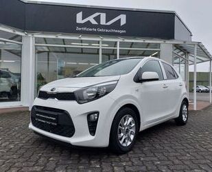 Kia Kia Picanto 1.2 Dream-Team Edition Gebrauchtwagen