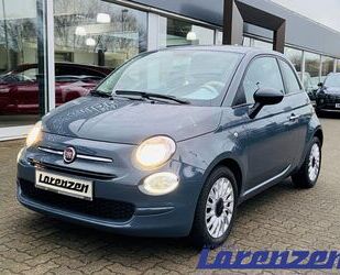 Fiat Fiat 500 Cult 1.0 Mild Hybrid EU6d DAB Berganfahra Gebrauchtwagen