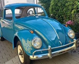 VW Volkswagen Käfer Gebrauchtwagen