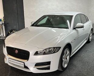 Jaguar Jaguar 20d R-Sport, Navi, Xenon Gebrauchtwagen