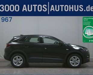 Opel Opel Grandland X 1.5 D Business Ed. T-Leder Navi L Gebrauchtwagen