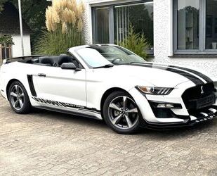 Ford Ford Mustang 3,7 V6 Cabrio GT500 Optik Xenon Kamer Gebrauchtwagen