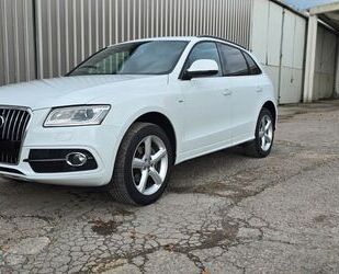 Audi Audi Q5 2.0 TDI quattro/S-Line/Pano/Bi-Xen/STHZ/19 Gebrauchtwagen