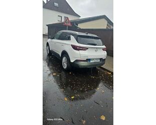 Opel Opel Grandland (X) 1.2 Turbo 96kW Color Line Colo. Gebrauchtwagen