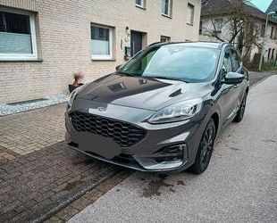 Ford Ford Kuga 2.0 EcoBlue Hybrid ST-Line X ST-Line X Gebrauchtwagen