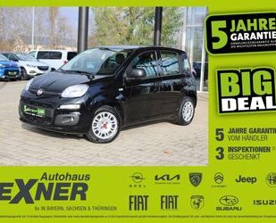 Fiat Fiat Panda 1.0 Mild Hybrid 4x2 Klima, Sitzheizung Gebrauchtwagen