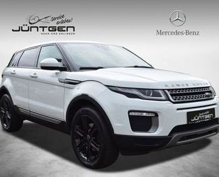 Land Rover Land Rover RR Evoque 2.0 TD4 SE AWD PANO BI-XENON Gebrauchtwagen