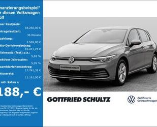 VW Volkswagen Golf VIII 1.5 TSI Life Navi LED RFK SHZ Gebrauchtwagen