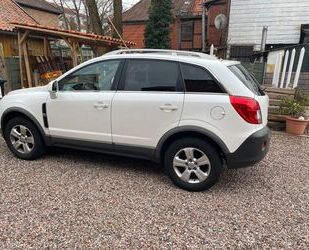 Opel Opel Antara 2.4 Design Edition Design Edition Gebrauchtwagen