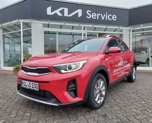 Kia Kia Stonic 1.0 T-GDI 100 DCT7 Gebrauchtwagen