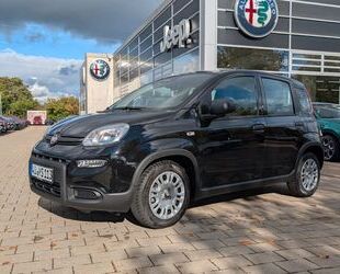 Fiat Panda Gebrauchtwagen