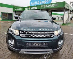 Land Rover Land Rover Range Rover Evoque 2.2 TD4 Pure Gebrauchtwagen