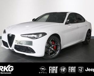 Alfa Romeo Alfa Romeo Giulia MY24 TRIBUTO ITALIANO 2.0 Turbo Gebrauchtwagen