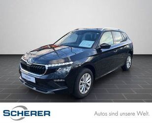 Skoda Skoda Kamiq Selection Kamiq Gebrauchtwagen