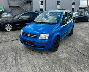 Fiat Fiat Panda 1.2 8V Dynamic TÜV 01/2027 Gebrauchtwagen