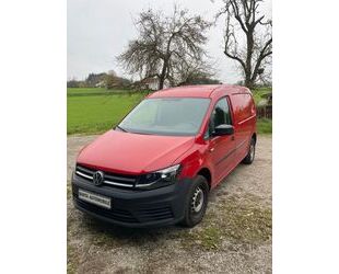 VW Volkswagen Caddy Maxi Eco Profi / BMT / AHK Gebrauchtwagen