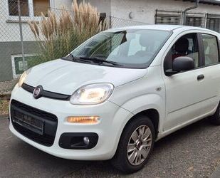 Fiat Fiat Panda Easy/EURO6/80TKM/KLIMA Gebrauchtwagen