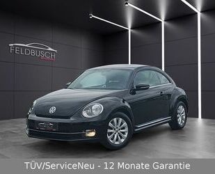 VW Volkswagen Beetle Design