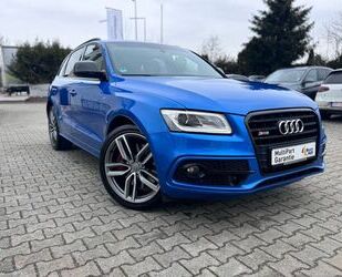 Audi Audi SQ5 Plus Panorama/: R.Kamara/Panorama Gebrauchtwagen