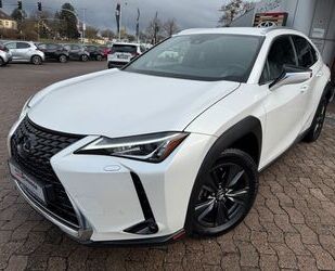 Lexus Lexus UX 250 h **CARPLAY** Gebrauchtwagen