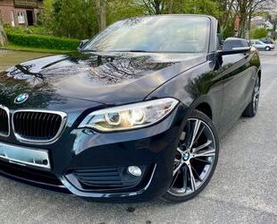 BMW BMW 220i Cabrio Advantage Leder Navi Kamera Xenon Gebrauchtwagen