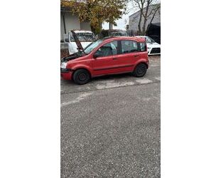 Fiat Fiat Panda Gebrauchtwagen