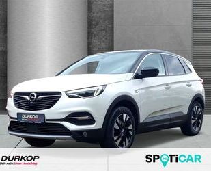 Opel Opel Grandland X Innovation 1.2T Navi LED/AFL Park Gebrauchtwagen