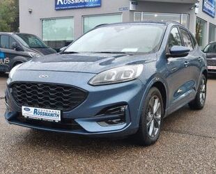 Ford Ford Kuga 2.0 EcoBlue ST-Line X Aut *iACC/TWA/AHK/ Gebrauchtwagen