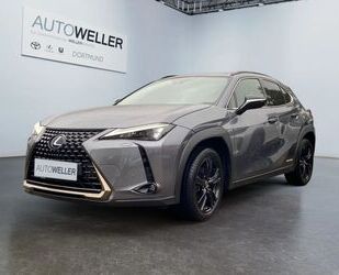 Lexus Lexus UX 250h Style+ Edition *Bi-LED*ACC*CAM*CarPl Gebrauchtwagen